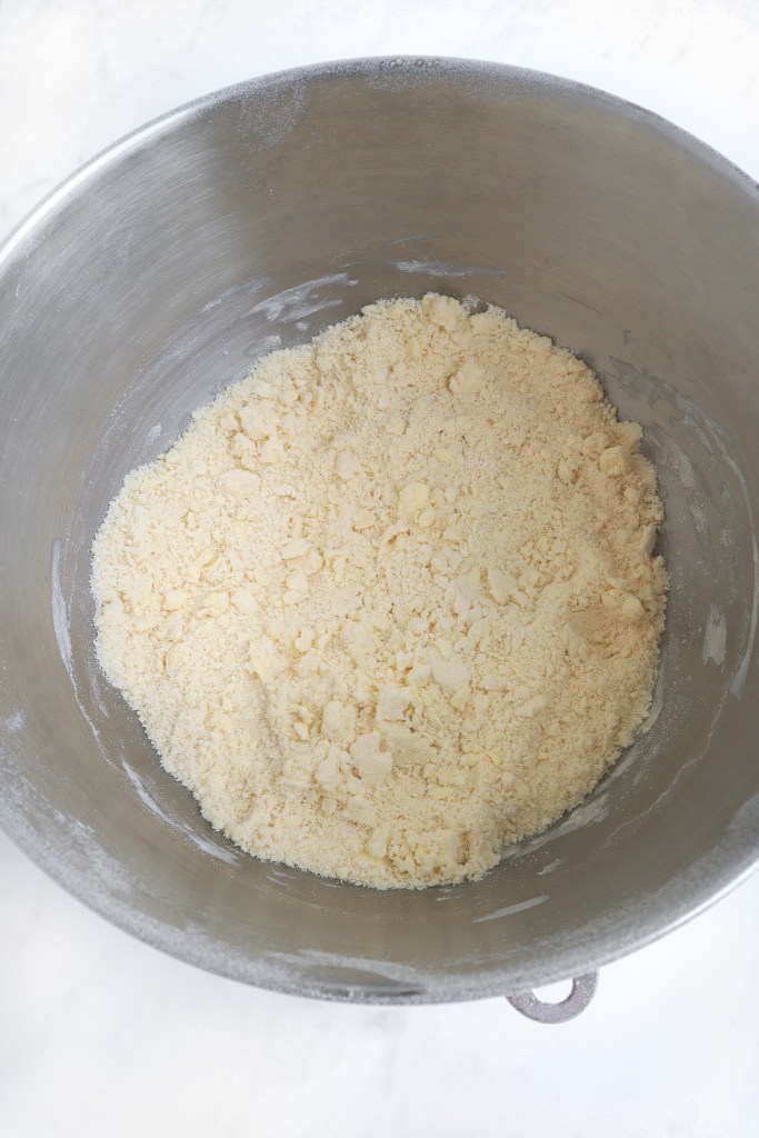 Flour, salt, butter and shortening combined stand mixer for flaky pie crust