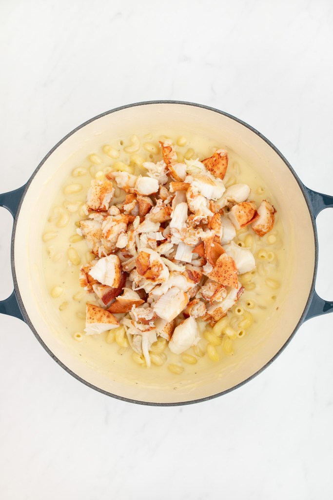 Mac and cheese mixture in a dutch oven with chunks of cooked lobster meat on the surface, before being mixed in.